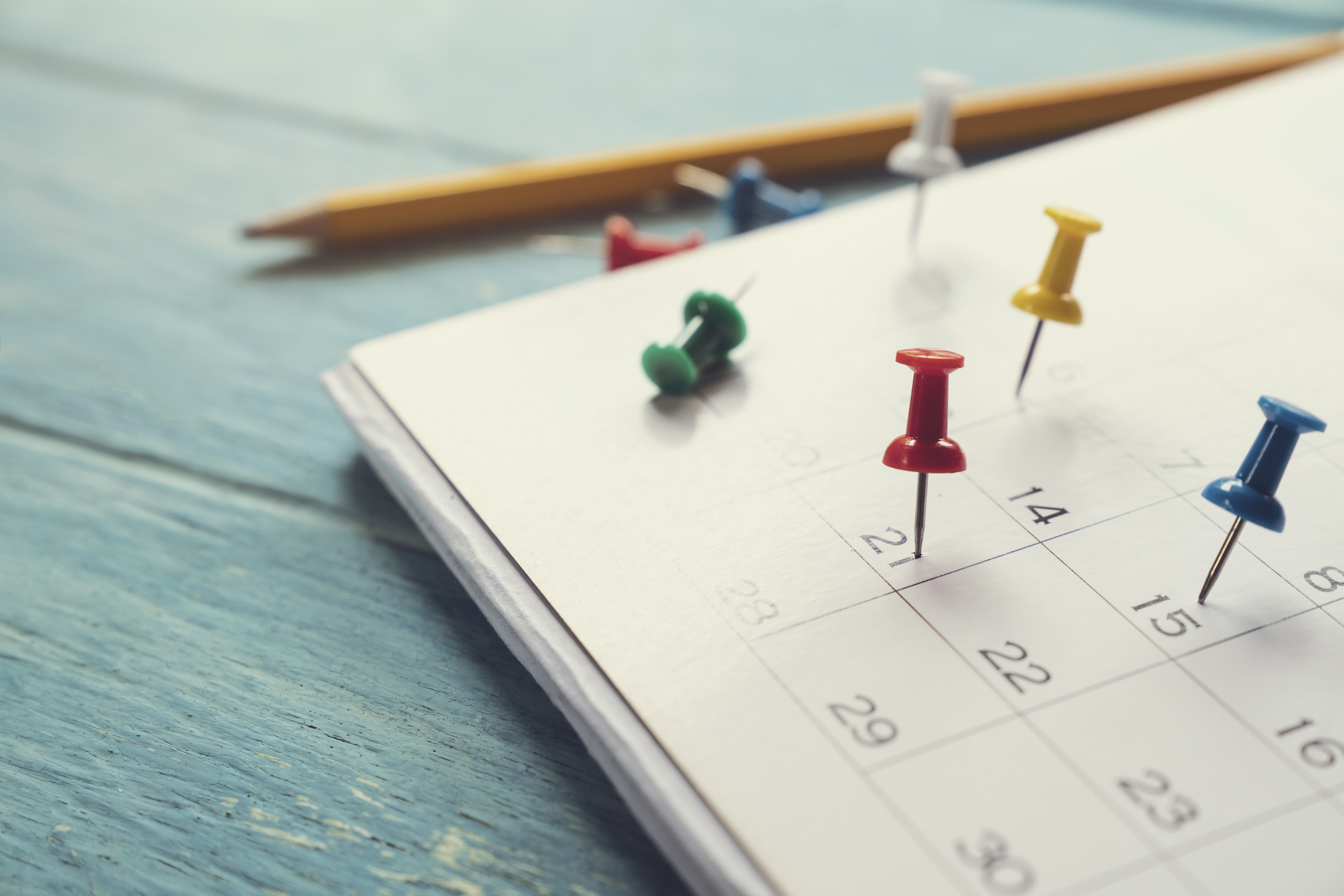 12 Events to Look Forward to, All Year Long