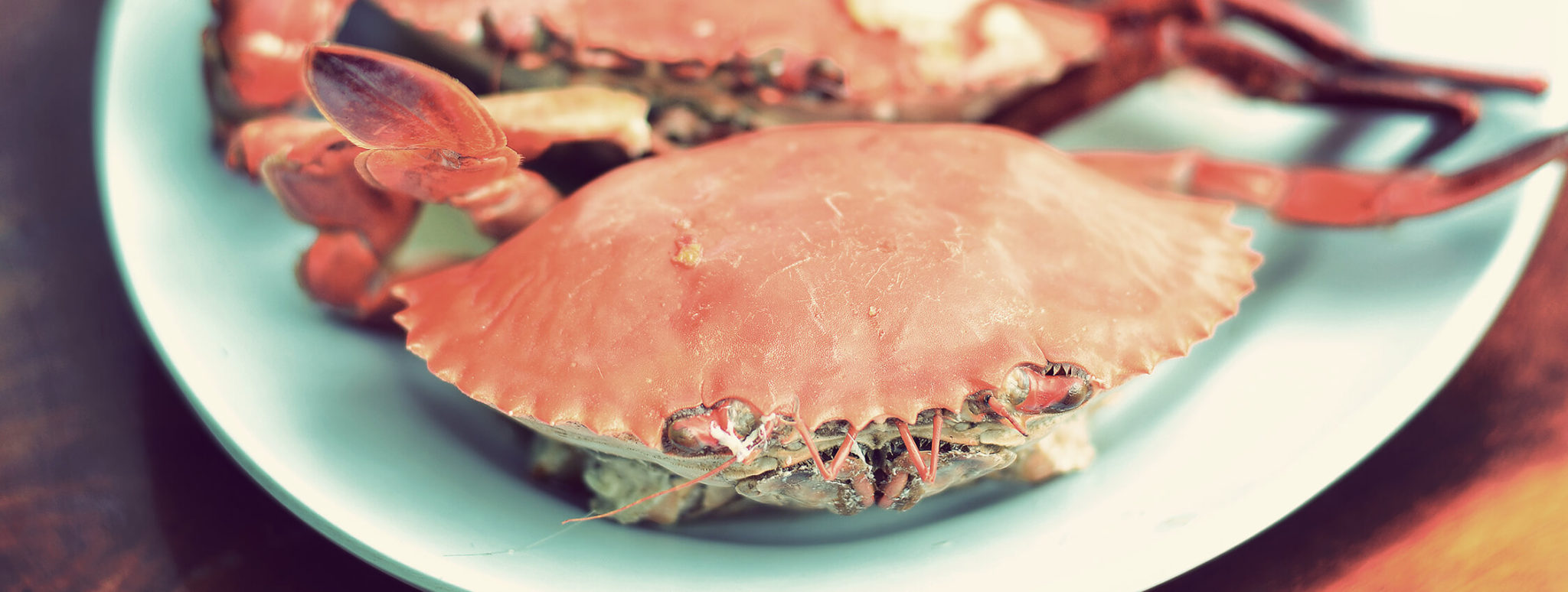 7 Cheap Eats In Virginia Beach