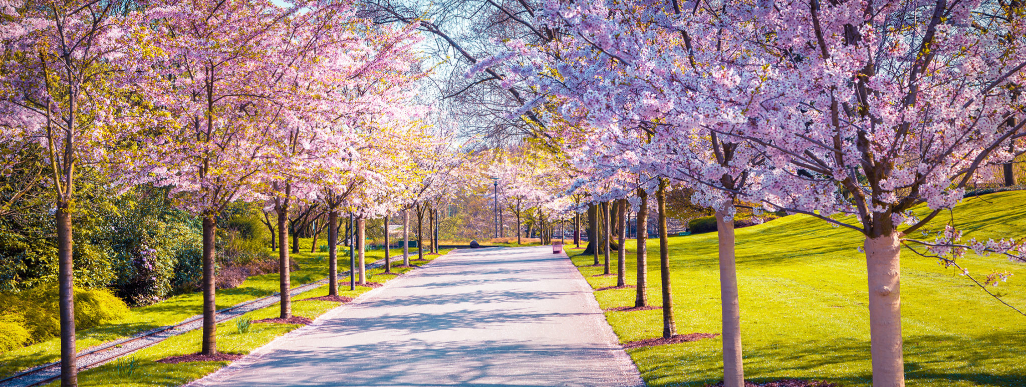 Spring Into Savings Any Time Of Year