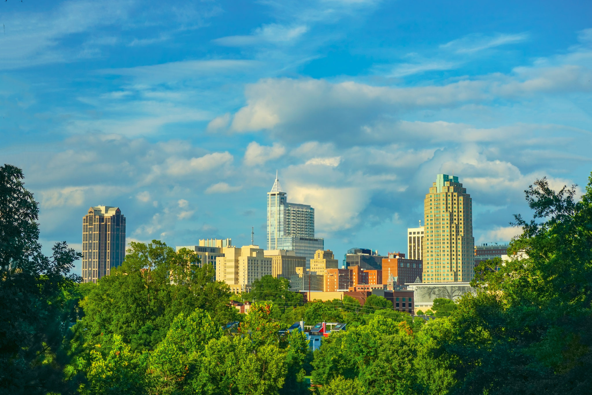 Destination Highlight: Raleigh