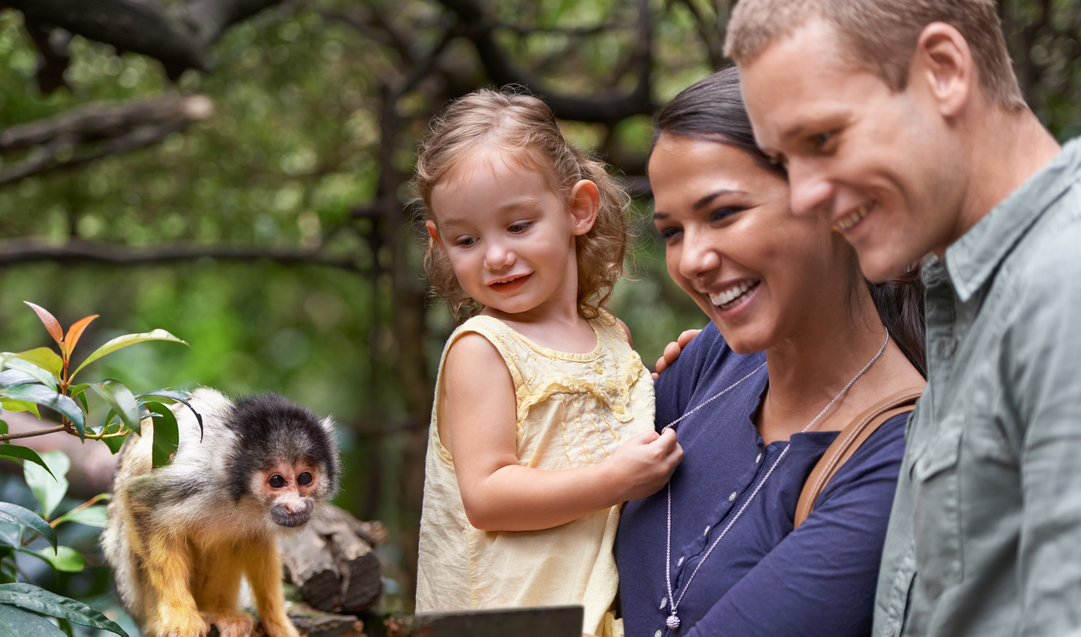 Things To Do in Houston With Kids